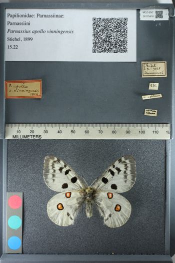 Media type: image;   Entomology 175416